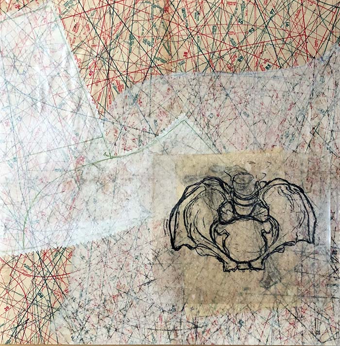 Celulosa y tintura